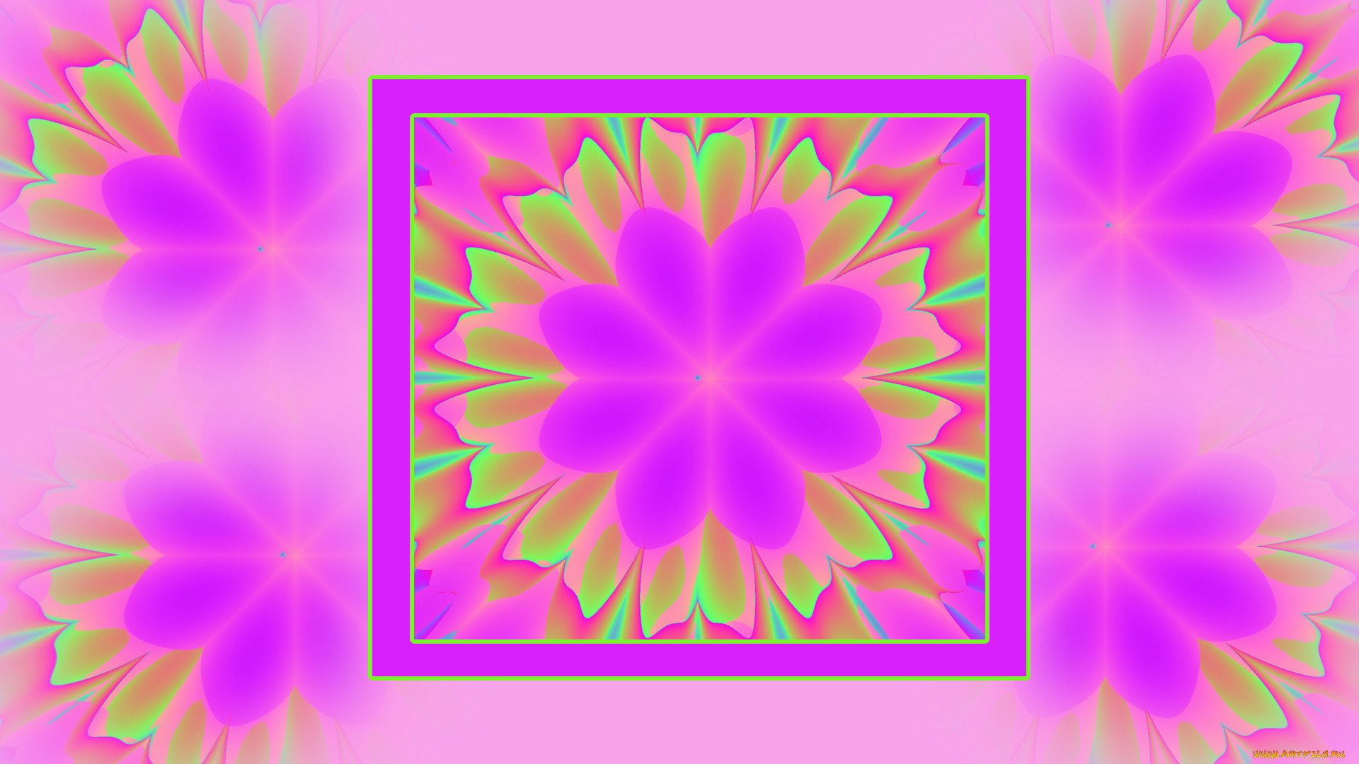  ,  , flowers, , , 